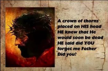 Image 4-4-25 at 12.40 PM